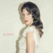 Bluebird album image