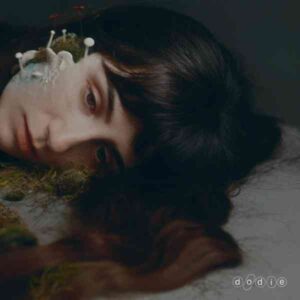 Not For The Lack Of Trying album image