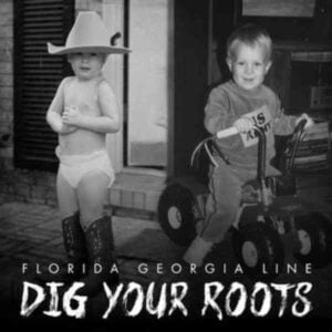 Dig Your Roots album image
