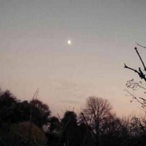 Dreamer Awake album image