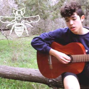 Honeybee album image