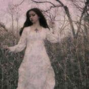 Jewel Box album image