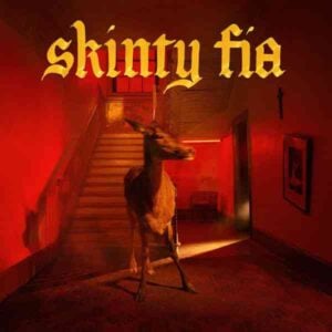 Skinty Fia album image