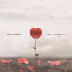 Small Fragile Hearts album image