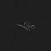 The Wind album image