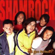 Are You Serious? album image