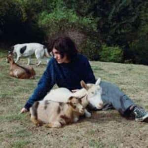 End Of The World album image