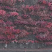 Even In Arcadia album image