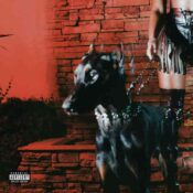 MUTT album image