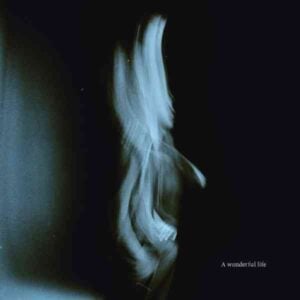 A Wonderfull life album image