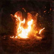 Walk Through Fire album image