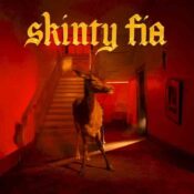 Skinty Fia go deo album image