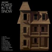 Foxes in the Snow album image