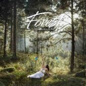 Forest album image