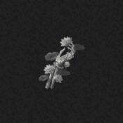 A Thousand Years (and JVKE & ZVC) album image