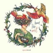 Head Like A Nest album image