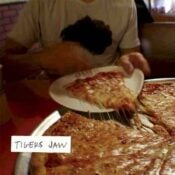 Tigers Jaw album image