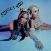 Forget You album image