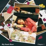 Big Dumb Heart, Chapter 1 album image