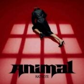 Animal album image