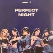 Perfect Night album image
