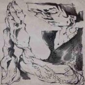 Something is a shell . album image
