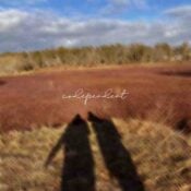 Codependent album image