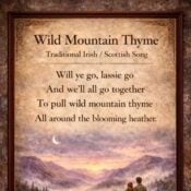 Wild Mountain Thyme album image