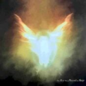 The Boy Who Played the Harp album image