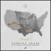 Forever Yours (Avicii Tribute) album image