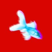 Reverse Psychology album image