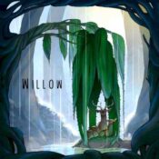 Willow album image
