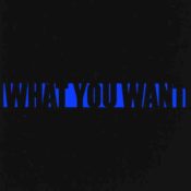 What You Want album image