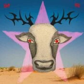 Your Mother's Name album image