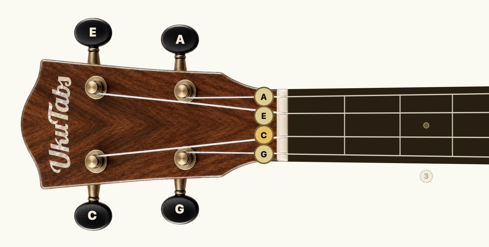 Front view of a ukulele headstock turned sideways: labeled A, E, C and G strings connect to their matching tuning pegs