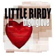 Bigbiglove album image
