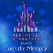 Love The Memory album image