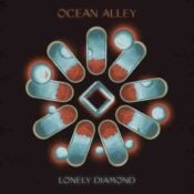 Lonely Diamond album image