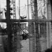 Chaos and Creation in the Backyard album image