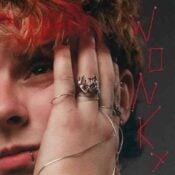 WONKY album image