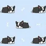 milomittensisonanimaljam