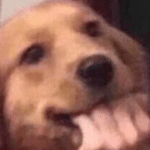 WEEBALO