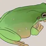 Frog plays instruments