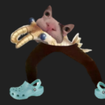 catinchat