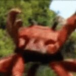freakyphineas
