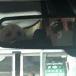Rachiepie