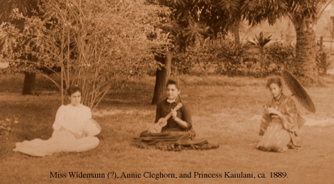 miss wildemann annie cleghorn princess kaiulani 1889