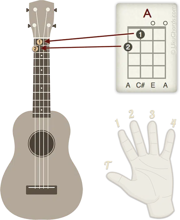 Read this complete guide to learn how to read ukulele chord diagrams.