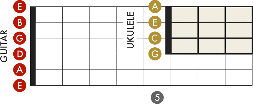 Diferencias y similitudes de afinación entre el ukelele y la guitarra