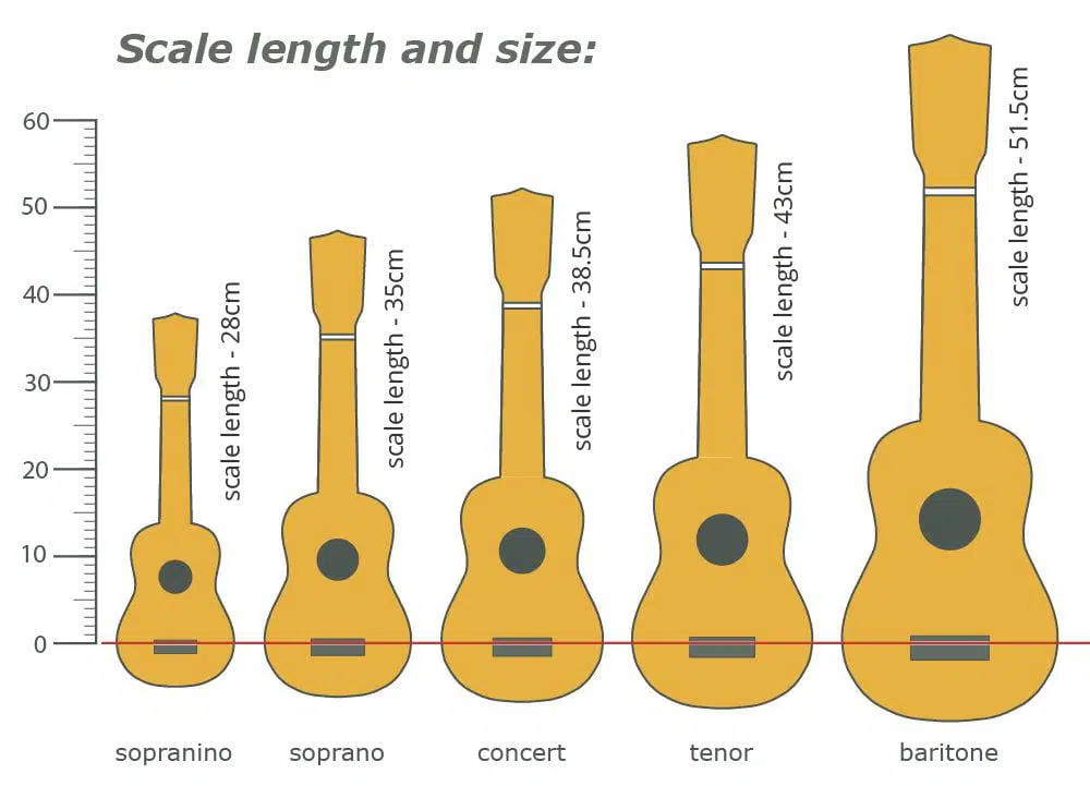 different ukulele sizes on a scale with length in cm